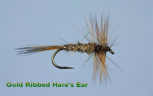 Gold Ribbed Hare's Ear Hackled